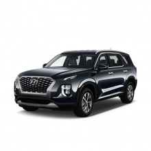 Hyundai Palisade 2020 - 2025