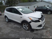 Ford Escape Se 2013 White 2.0L