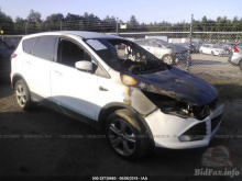 Ford Escape Se 2014 White 1.6L
