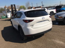 6178171295cea