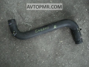 Lower cooling hose Subaru Outback 10-14 3.6