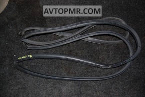 Lexus ES300 ES330 front right door seal