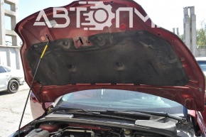 The bare hood of a Ford Focus mk3 11-18 pre-restyling