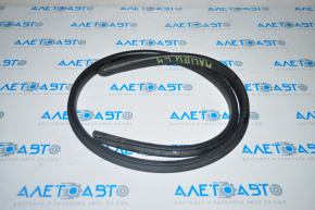 Door seal on the threshold left Chevrolet Malibu 16-23
