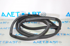 Chrysler 200 15-17 rear right door seal