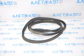 Dodge Charger 11-23 Trunk Lid Seal