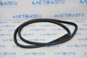 Door Seal Front Left Dodge Charger 11-23