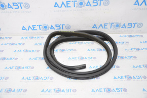 Door Seal Front Right Dodge Charger 11-23