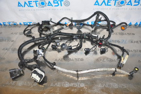 Ford Fusion mk5 13-13 2.5 engine wiring