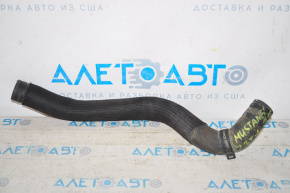 Lower cooling pipe Ford Mustang mk6 15-23 2.3T