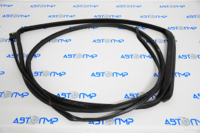 Honda Accord 18-22 rear right door seal