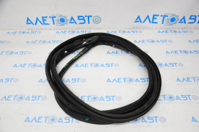 Jeep Patriot 11-17 Front Right Door Seal