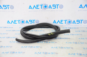 Rear right door seal for Lexus CT200h 11-17