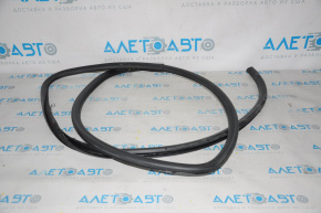 Front left door seal for Lexus RX350 RX450h 10-15