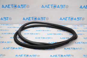 Lincoln MKZ 13-20 rear left door seal