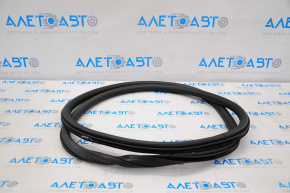 Lincoln MKZ 13-20 front right door seal