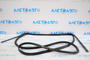 Rear left door seal for Nissan Rogue 14-20