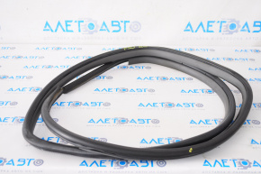 Rear left door seal for Toyota Prius 30 10-15, dark gray