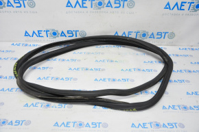 Rubber seal for the trunk door of a VW Tiguan 09-18