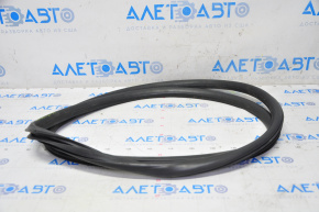 Door seal front right Chevrolet Cruze 11-16