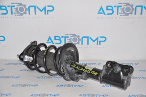 Front left shock absorber Ford Mustang mk6 15-23