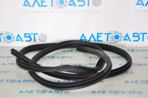 Door seal rear left Nissan Altima 19-20