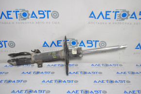 Rear left shock absorber Toyota Camry v50 12-13 usa SE