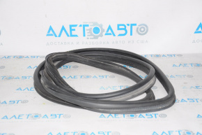 Toyota Camry V55 15-17 trunk lid seal (USA)