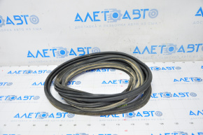 Rubber seal for the tailgate of a Toyota Sienna 11-20