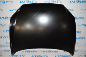 Naked hood VW Passat b7 12-15 USA steel