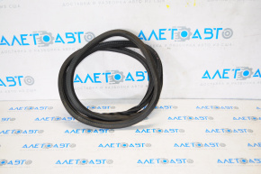 Door seal rear left Chevrolet Malibu 13-15