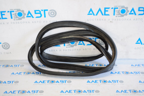 Hyundai Elantra AD 17-20 Trunk Lid Seal