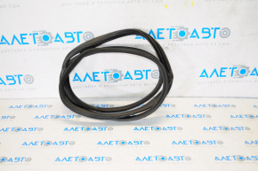 Door seal rear left Hyundai Elantra AD 17-20