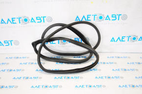 Door seal rear right Hyundai Elantra AD 17-20
