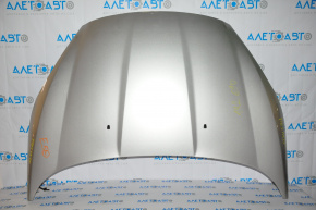 Naked hood Ford Fiesta 11-19 silver UX