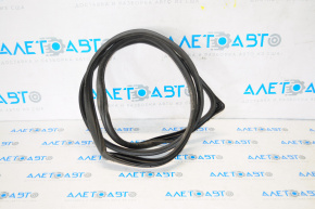 Door seal front left Hyundai Elantra AD 17-20