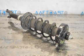 Rear shock absorber left Acura TLX 15-18 2.4 complete