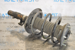 Shock absorber front left Acura TLX 15- 2.4