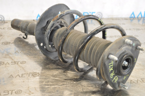 Shock absorber front right Acura TLX 15- 2.4