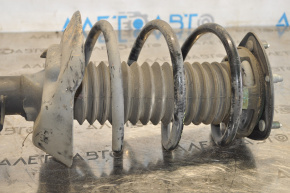 Front left spring Acura TLX 15- 2.4
