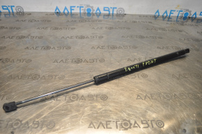 Chevrolet Equinox 10-17 Hood Strut
