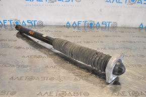 Honda Civic X FC 16-21 2.0 EX rear right shock absorber with support