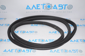 Rear right door seal for Nissan Rogue 14-20