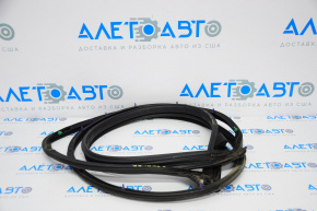 Toyota Camry v50 12-14 rear right door seal (USA)