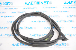 Front right door seal Hyundai Elantra UD 11-16