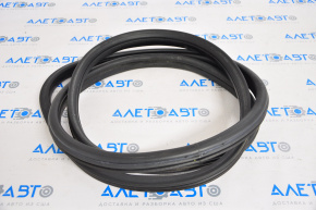 Door seal front left Mini Cooper Countryman R60 10-16