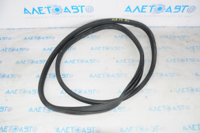 Door Seal Rear Left Acura ILX 13-22