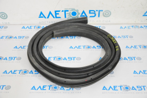 Rear right door seal for Ford C-max MK2 13-18