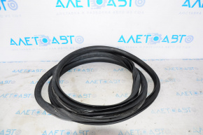 Door seal front left Ford Flex 09-19