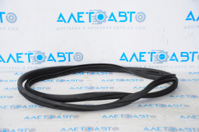 Door seal rear right Hyundai Elantra UD 11-16